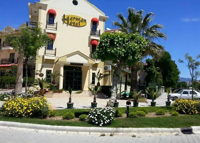 Harman 3*