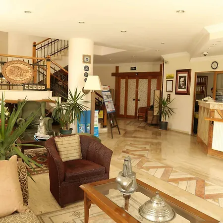 Harman 酒店 费特希耶