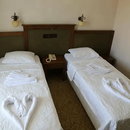 酒店 Harman 费特希耶