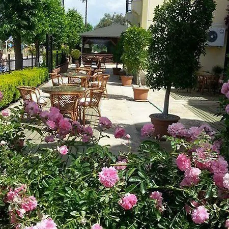 Harman 3* 费特希耶