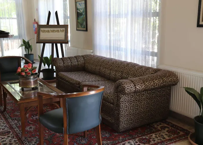 Harman 酒店 费特希耶