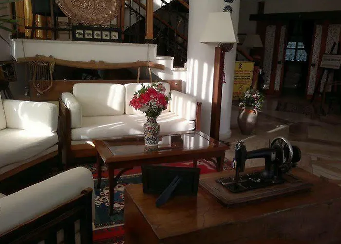 Harman 3* 费特希耶